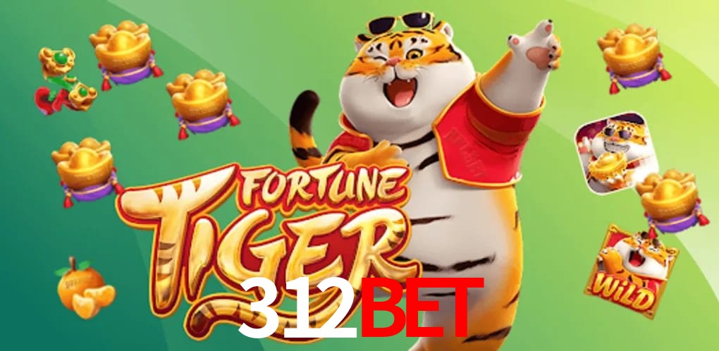Player Reviews 312bet